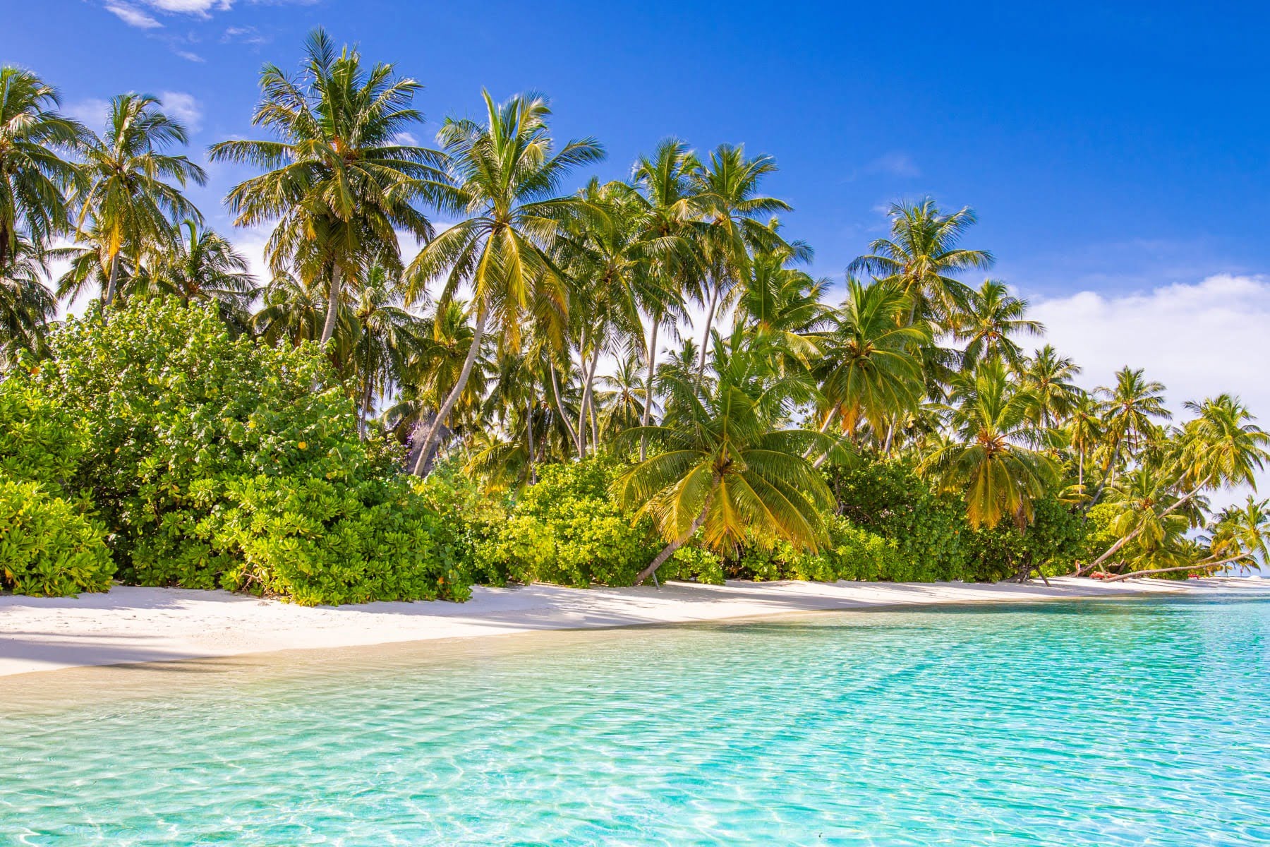 IM-2-Galeria-Plan-a-Punta-Cana-TravelCorp-VT