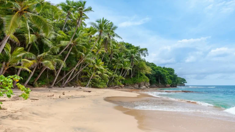 playa-panama